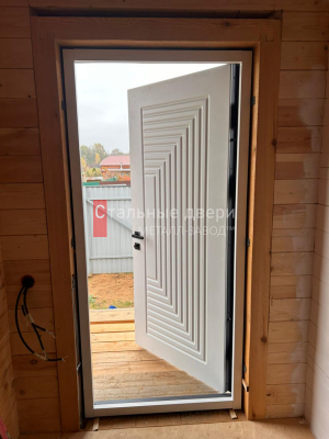 Фото двери №291