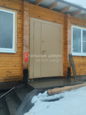 Фото двери №381